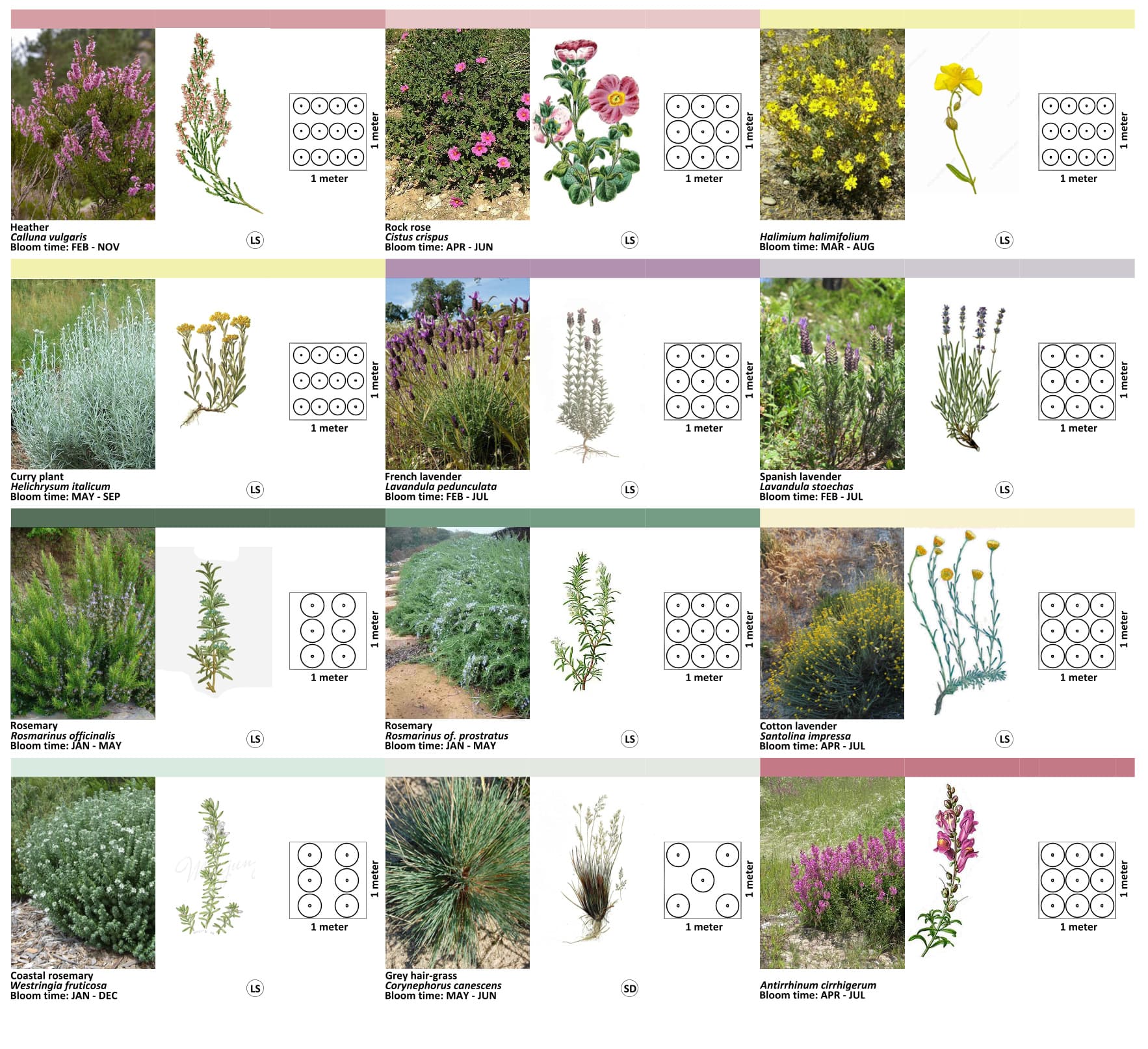 Planting Schemes